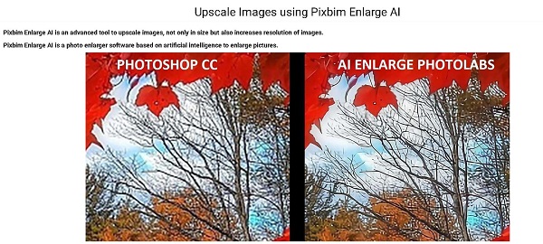 Pixbim Enlarge AI بهینه سازی عکس بدون از دست دادن کیفیت
